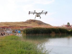 Edremit’te drone ile ilaçlama çalışması