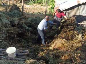 Hakkari Çimenli' de 700 ot bağı yandı
