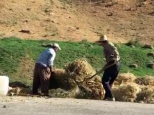Çiftçilerin zorlu mesaisi