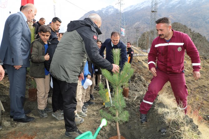 Hakkari'de 2 bin 500 fidan dikildi