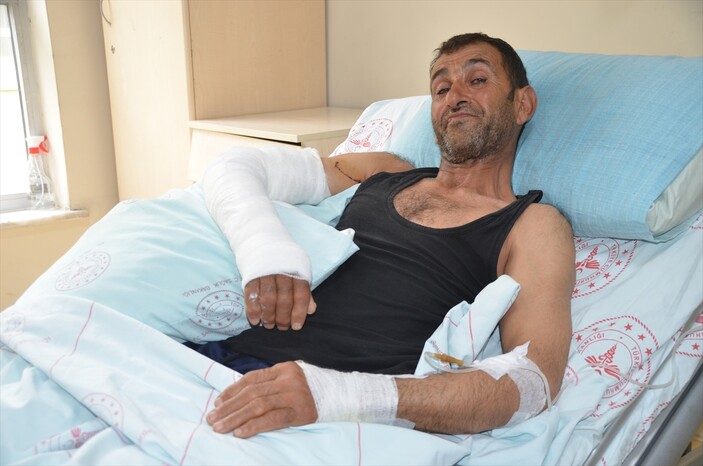 Hakkari'de dağda ot toplayan kişiye ayı saldırdı
