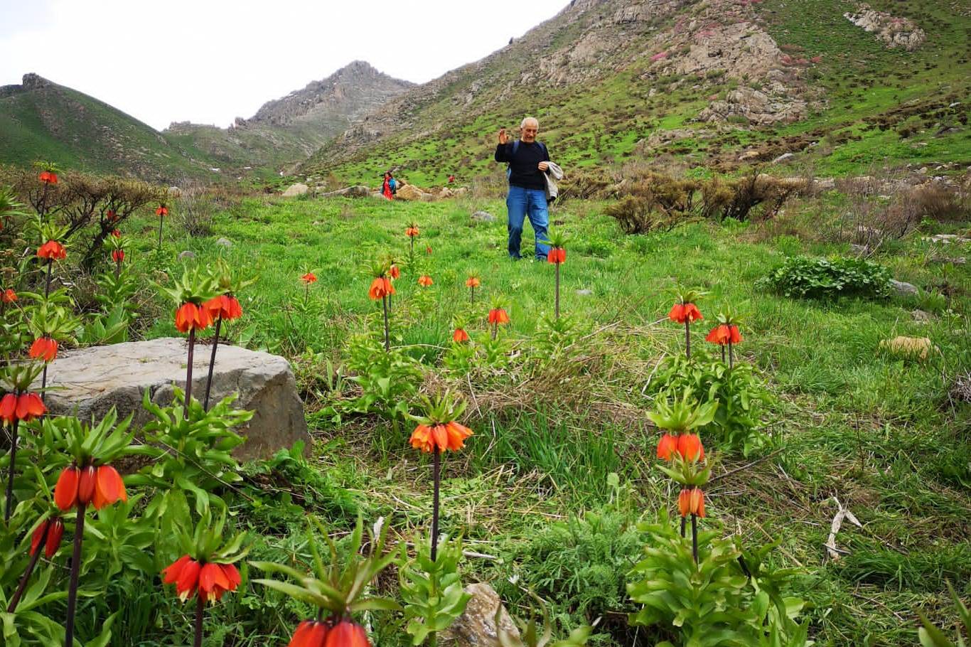 Hakkari'ye gelen doğaseverler, eşsiz doğal güzellikleri keşif gezilerine katıldı