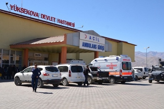 Pancar toplarken ayının saldırısına uğradı