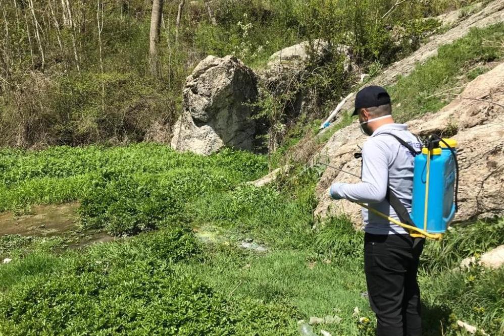 Hakkari'de sineklere karşı ilaçlama çalışmaları