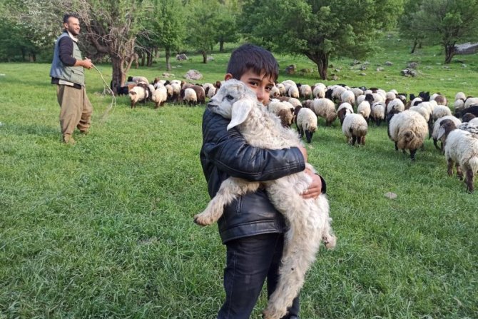 Göçerlerin yayla yolculuğu devam ediyor