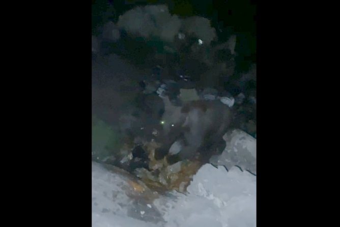 Hakkari'de çöplükte beslenen ayı görüntülendi