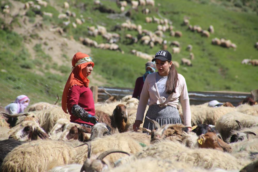 İran sınırındaki berivanlara akaryakıt desteği