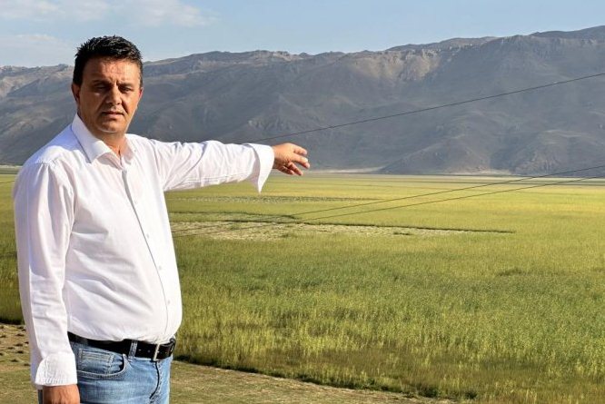 Nehil Sazlığı bu sene yeşerdi