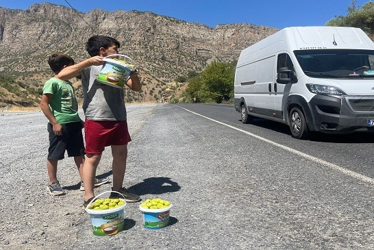 Çukurca karayolunda İncir satarak okul ihtiyaçlarını karşılıyorlar