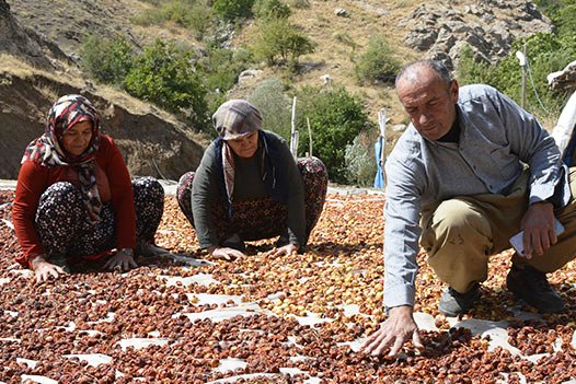 Hakkari’de kadınların kış hazırlıkları başladı!