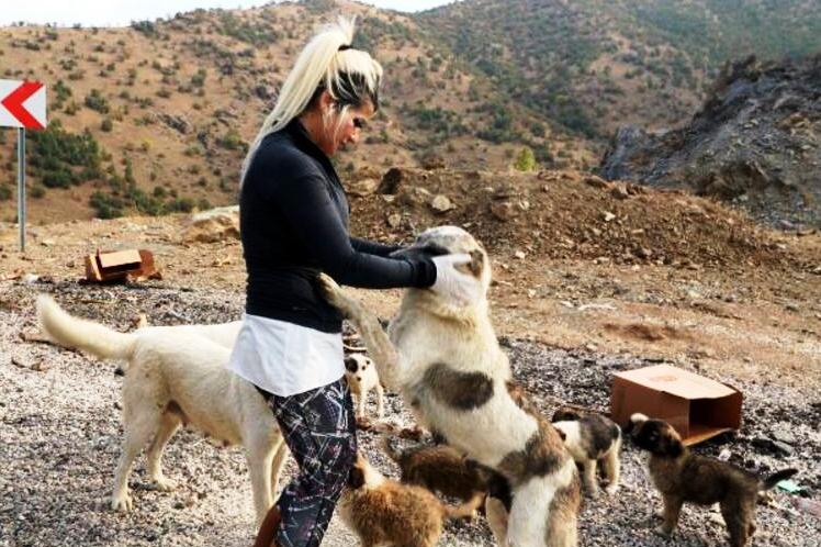 Depremde ölen Eda öğretmenin baktığı sokak köpeklerini kuaför Fadime besliyor