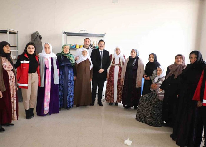 Vali Yardımcısı Mahmutoğlu, çınarlarla yakından ilgilendi