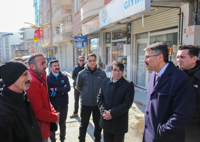 Vali Ali Çelik, Şikayet sonrası İncelemelerde Bulundu