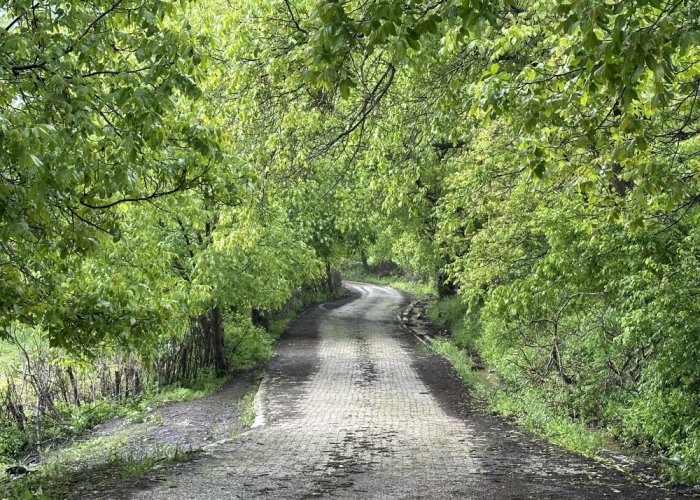 Şemdinli yeşil doğasıyla Karadeniz’i aratmıyor