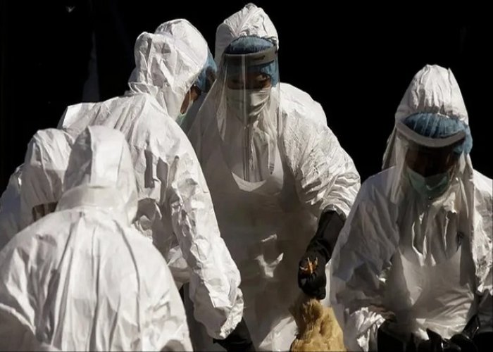 "Hazır olun yeni pandemi geliyor" uyarısı
