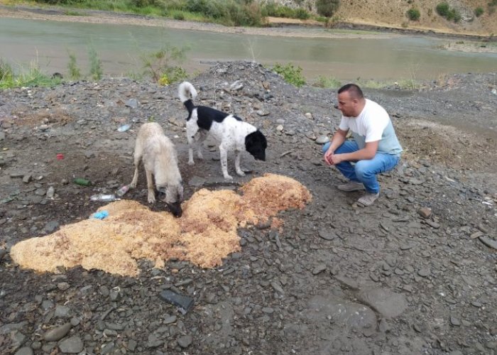 Yağmurlu havada can dostlara yiyecek bırakıldı