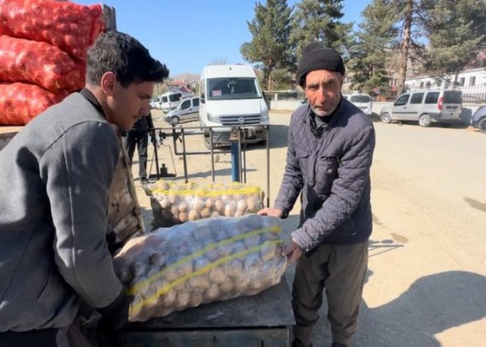 Patates ve soğan stoku başladı