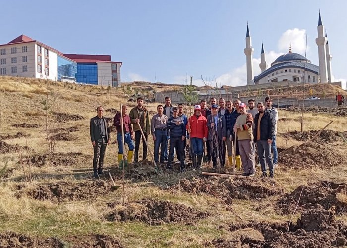 Zeynelbey yerleşkesine 4 bin fidan dikildi