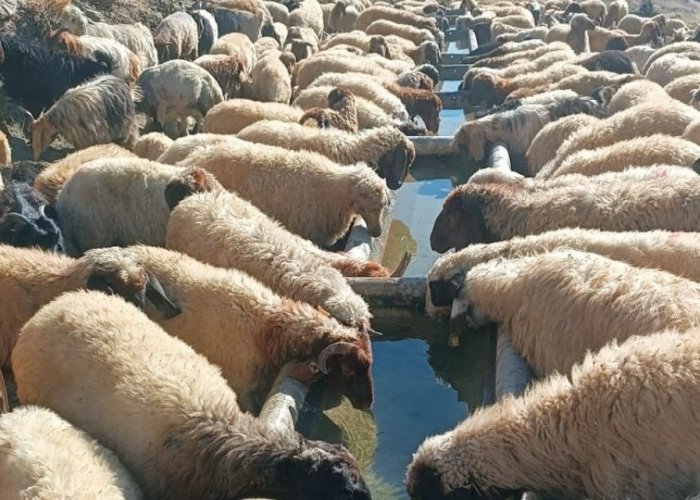 Hakkari'de binlerce dönüm arazi suyla buluşturuldu