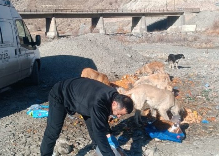 Hakkari’de sahipsiz can dostlar unutulmadı