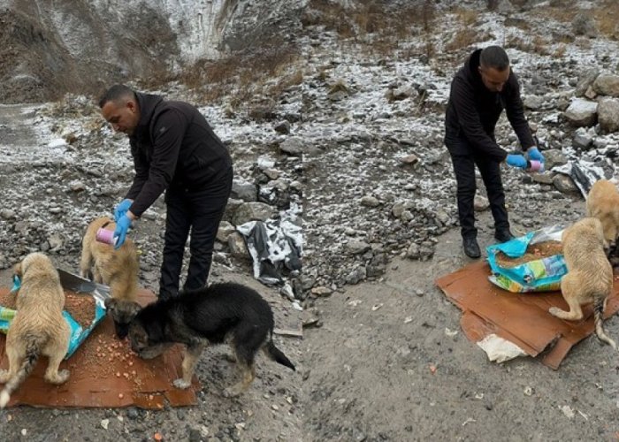 Belediye ekipleri kar altında can dostlara yiyecek bıraktı