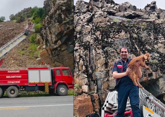 Hakkari İtfaiyeden keçi yavrusu operasyonu