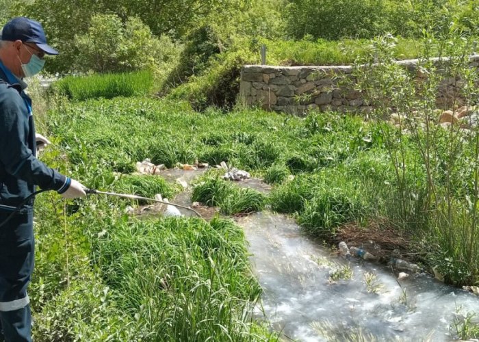 Yaz aylarında haşerelere Karşı ilaçlama çalışmalarını sürdürüyor