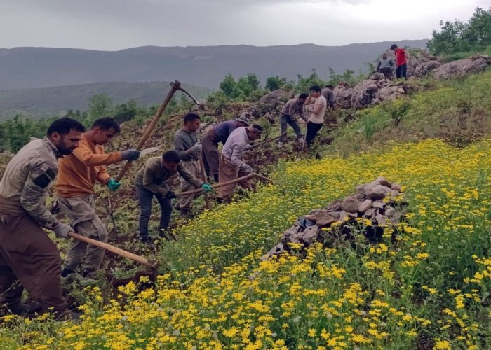 Derecik'te İmece Usulü Yardımlaşma