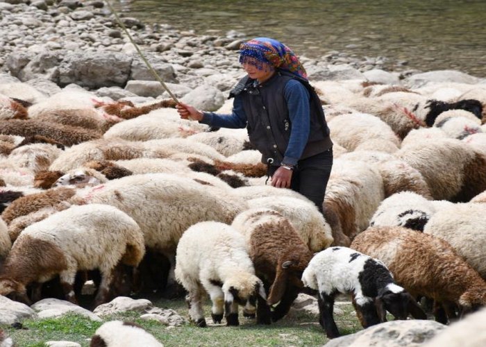 16 yaşındaki çoban Rozerin hiç oyuncağım olmadı