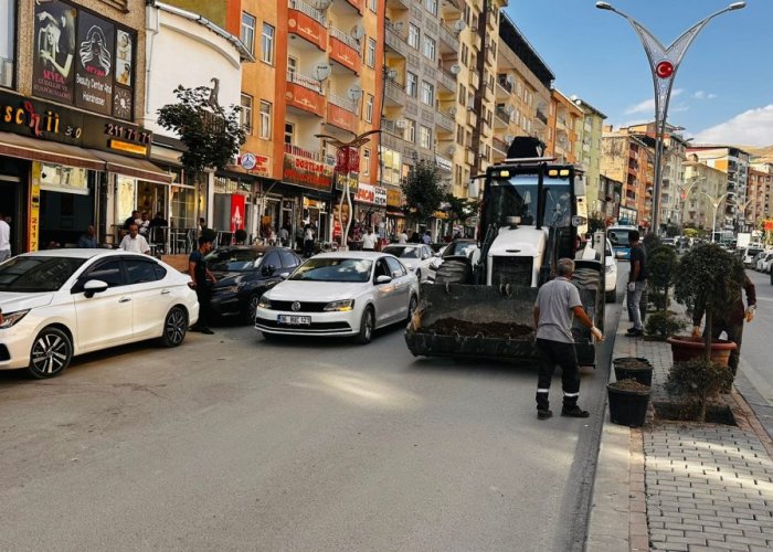 Hakkari’de 250 ağaç toprakla buluştu