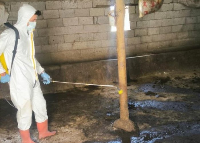 Yüksekova’da hayvan sağlığı çalışması
