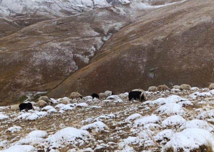 Başkale'ye yılın ilk karı yağdı