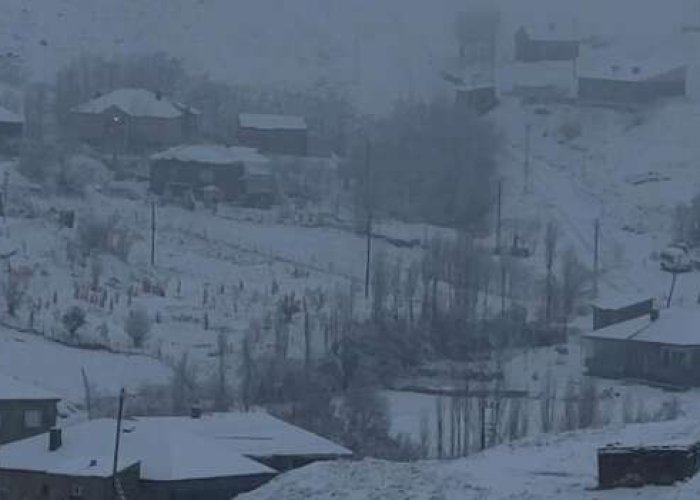 Hakkâri’de Çığ Felaketi: Hayvanlar Telef Oldu, Ev ve Ahırlar Zarar Gördü