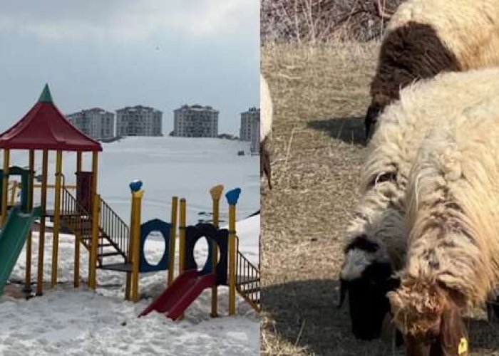 Yüksekova'da kar, Esendere'de bahar mesaisi