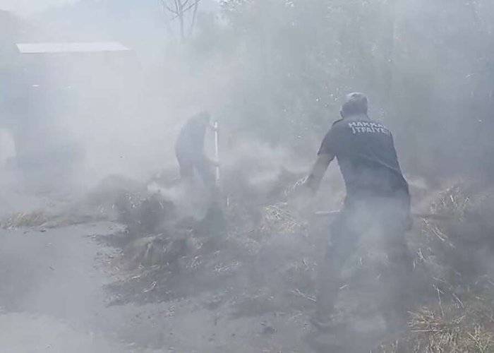 Hakkari’de Saman balyaları alevlere teslim oldu