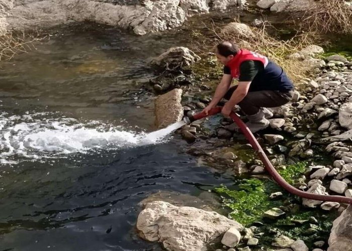 Çamurda mahsur kalan balıklar kurtarıldı
