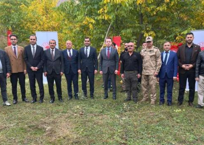Kaymakam Hülür Bağdaş Köyü’nde Ceviz hasadına katıldı