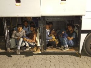 Otobüsten 142 kaçak göçmen çıktı