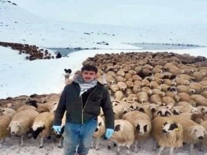 Çobanlar Kar Yağışına Hazırlıksız Yakalandı