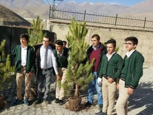 Esendere Belediyesi 5 bin 520 fidan dağıttı