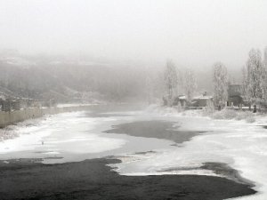 Ardahan’da soğuk hava dondurdu