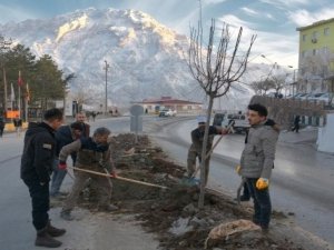 Hakkari Belediyesinden hummalı çalışma