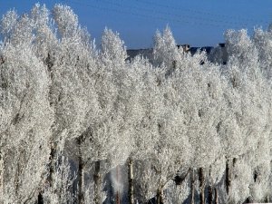 Van'ın Çaldıran İlçesi Buzlarla Kaplandı