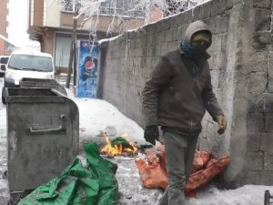 Yanmış kömür toplayarak ailesini geçindiriyor