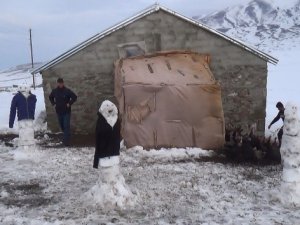 Hindileri tilkilerden korumak için kardan adamlar (korkuluklar) yaptı