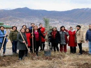 Hakkari’deki bereket ormanlarına fidan dikildi