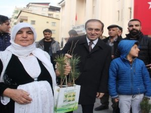 Hakkari’de 12 bin adet fidan dağıtıldı