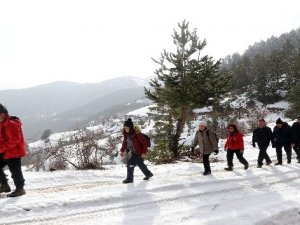 Doğa yürüyüşleriyle huzur buluyorlar