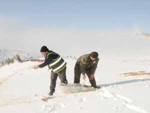 Yaban hayvanları için yem bırakıldı