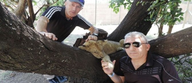 Hakkarili dağcılar Afrika’da safari turuna çıktılar